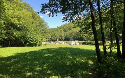 Idyllischer Stellplatz mitten im Grünen